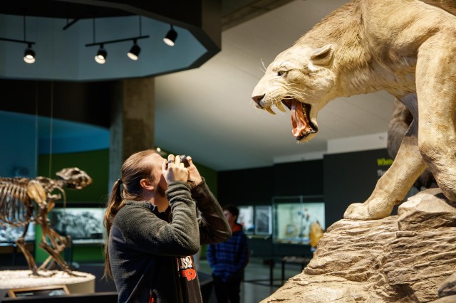 guest taking picture of sabertooth exhibit tar pits interior