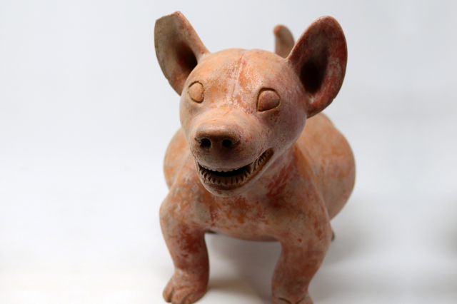 Ceramic Hairless Dog 