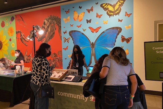 Guests explored collections related to urban nature