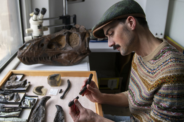 Zach Morris wearing a hat and striped sweater, seated at  table holding fossil bones