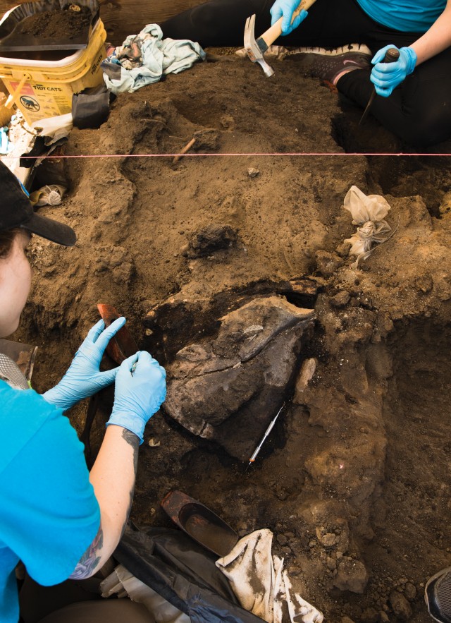 fossil work at the tar pits rancho la brea