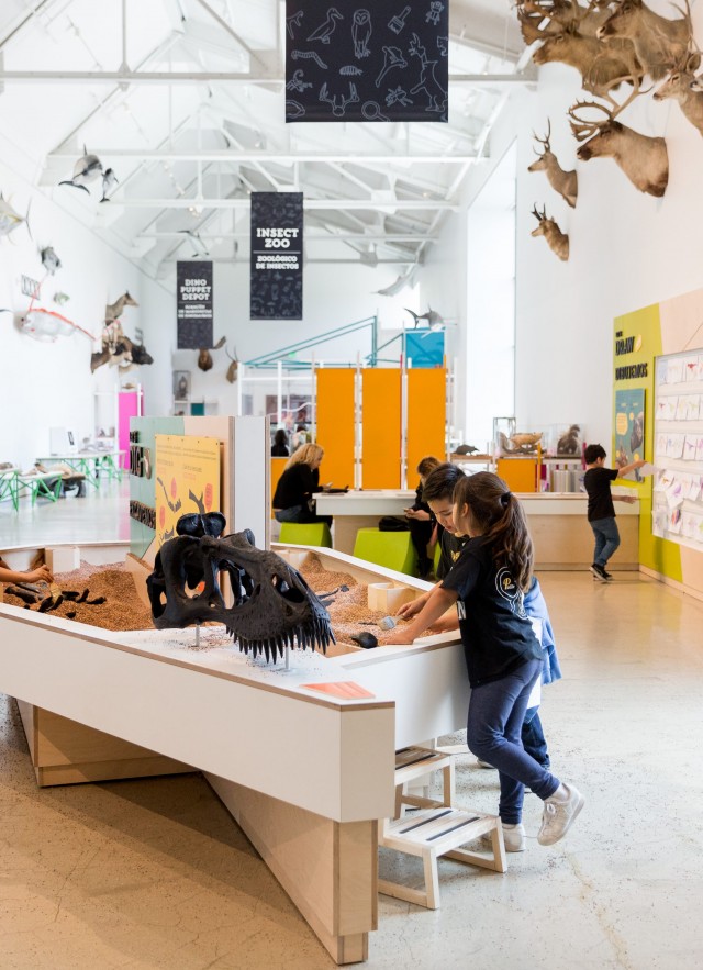 NHMLA's Discovery Center