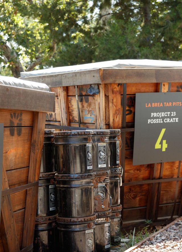 Project 23 boxes and bins