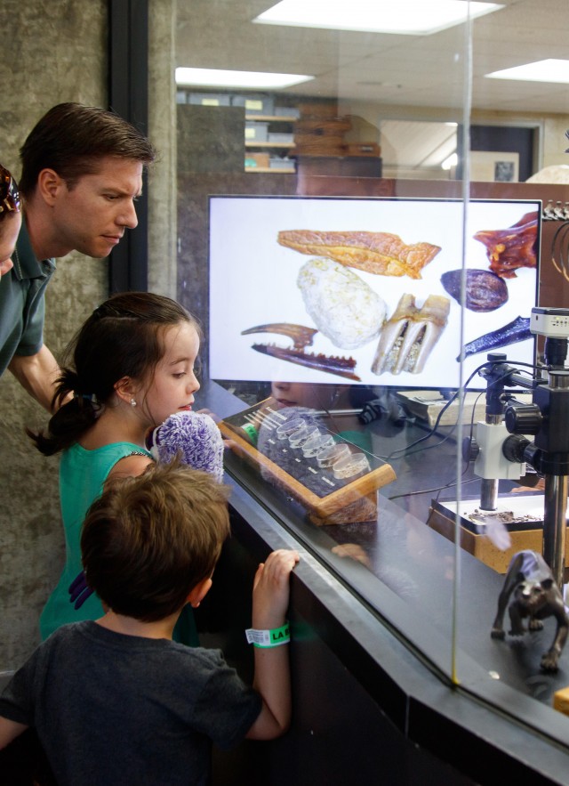 guests family kids la brea tar pits fossil lab