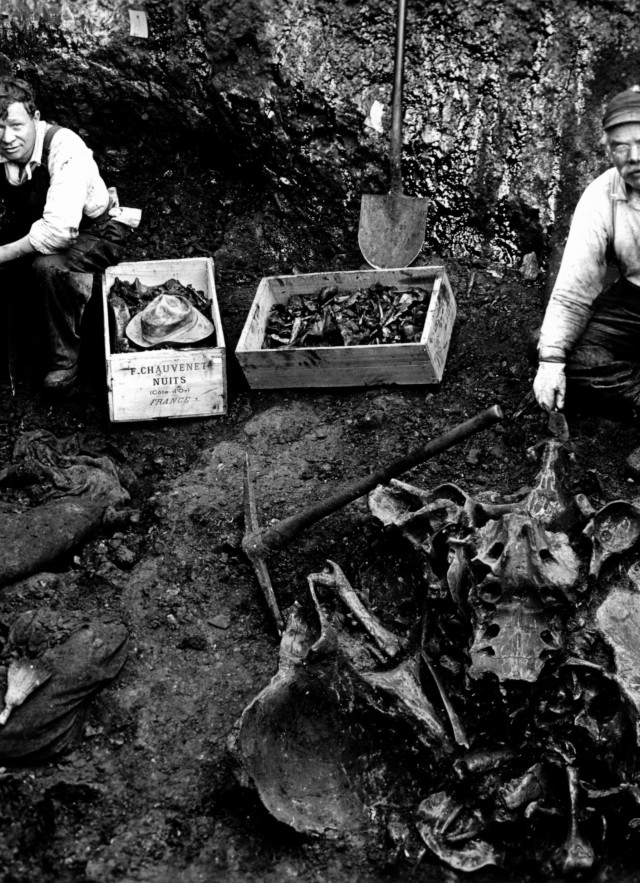 black and white image of early la brea tar pits excavation