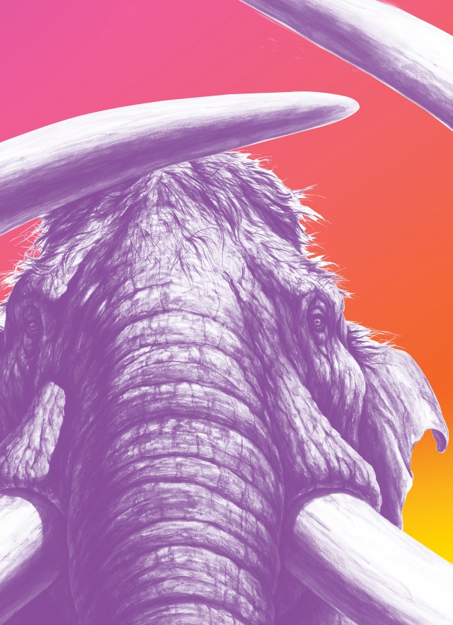 mammoth summer key art no type