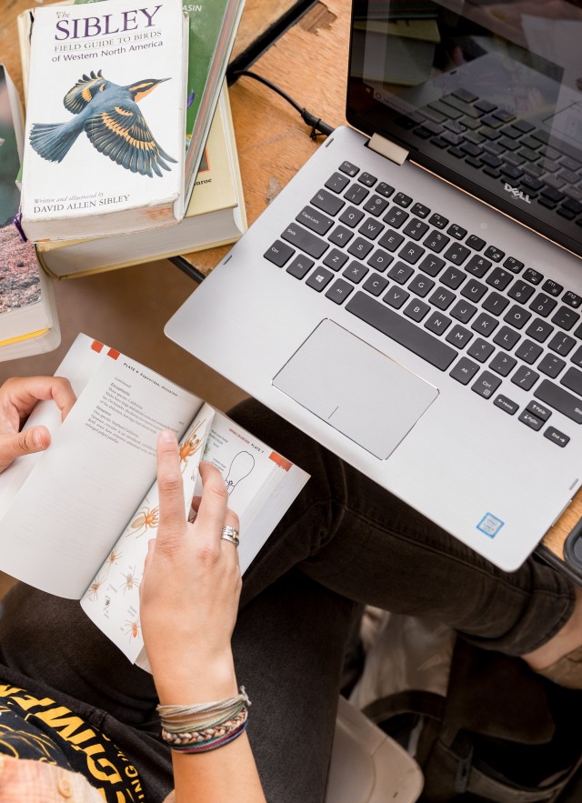 City Nature Challenge