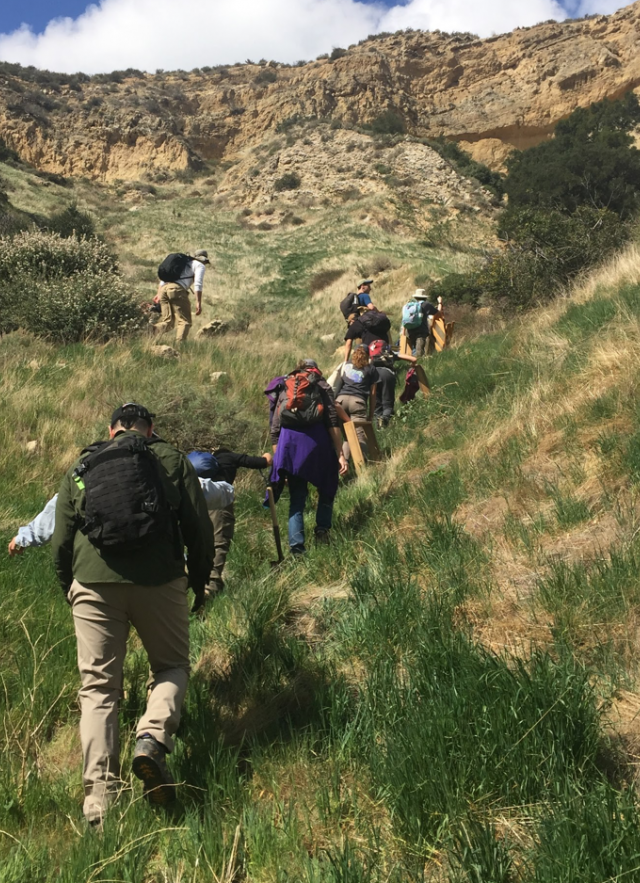 Great Shark Hunt hike in