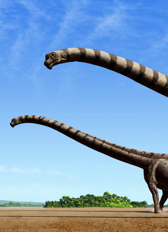 Mamenchisaurus