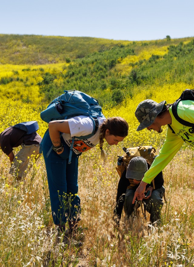 Liberty Canyon Bio blitz group looking at field