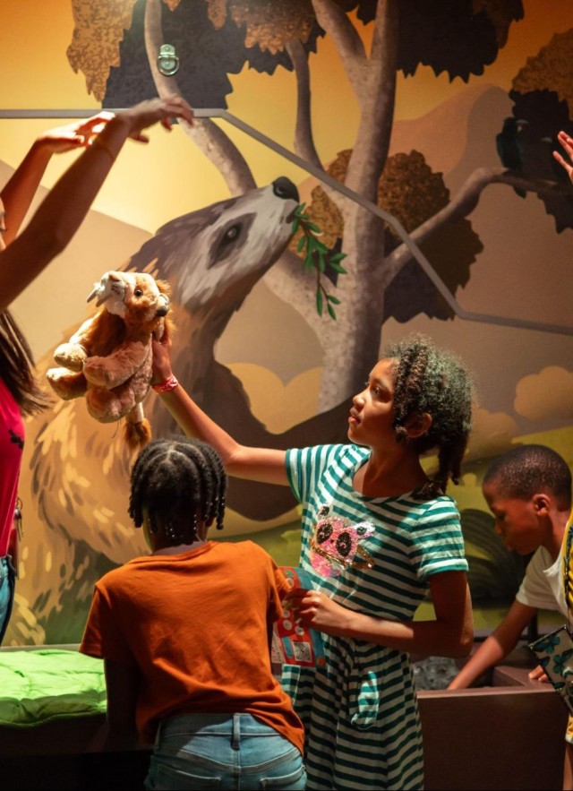 Teachers and students raising their arms with an illustration of a sloth in the background