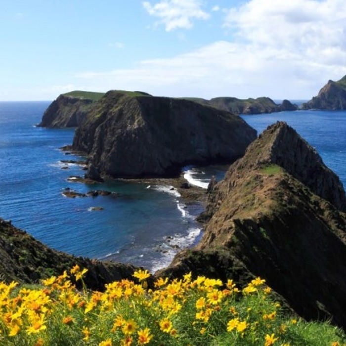 Anacapa Island Channel Islands landscape