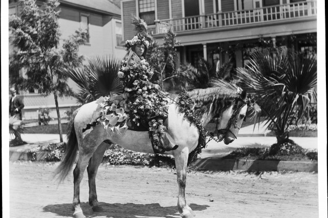 The Masquerade Laws, woman on horse