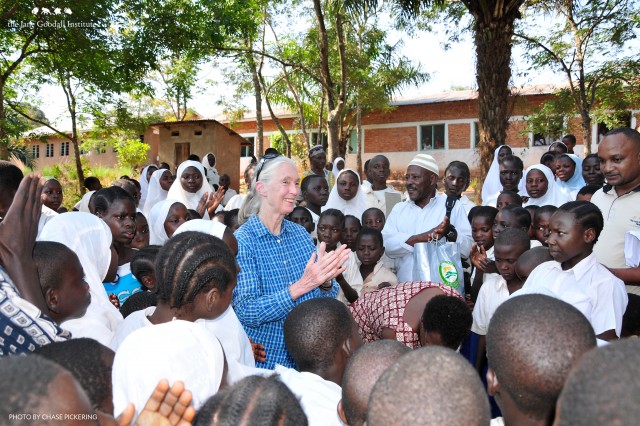 15_jane_goodall_rs0186-7_credit_chase_pickering_jane_goodall_institute