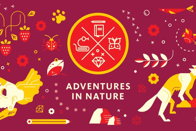 maroon background with icons of things from nature (coyote, dinosaur skull, strawberries)