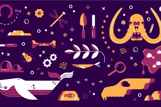 Skulls, dragonfly, gears, and other scientific illustrations in yellow, pink, and white on purple background