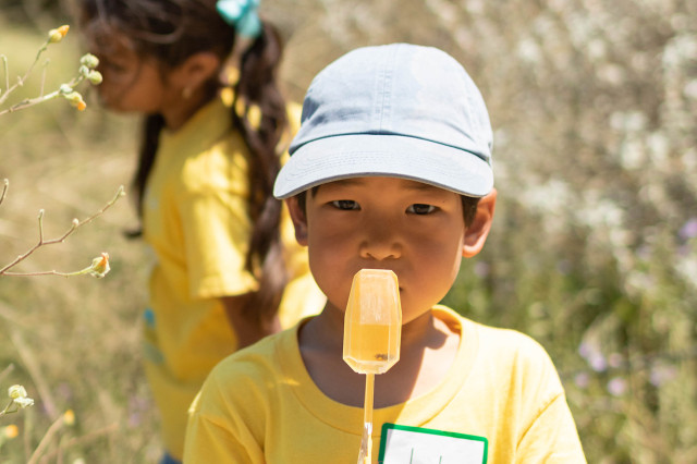 Child in yellow t-shirt with a name tag and holding up an insect encased in a yellow block on a stick