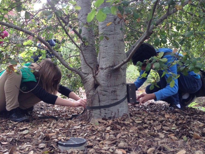 Nature Navigators practicing how to set up a camera trap in NHM Nature Gardens. 
