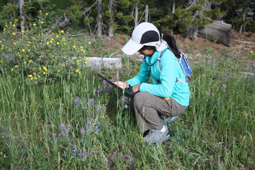 Rachel Ann using iNaturalist to collect community science data. 