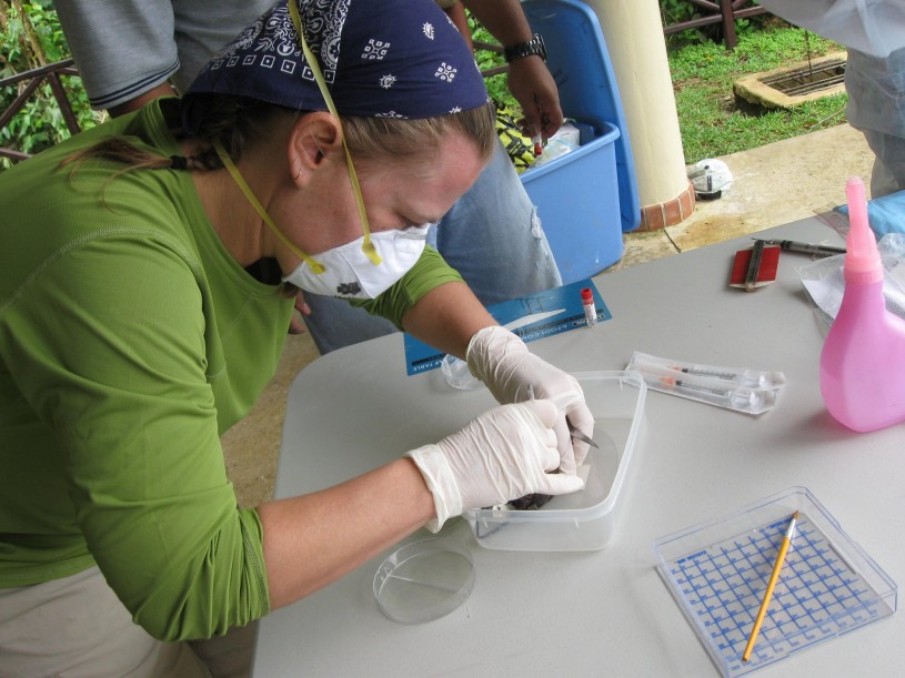 Kayce Bell in Panama with PPE