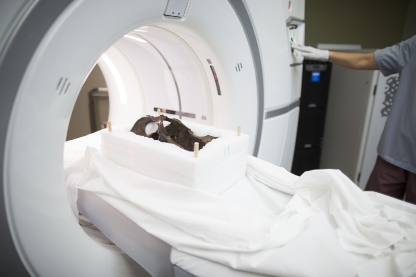 A CT scanning machine taking X-rays of the pelvis fossil from multiple angles